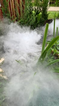 Steam coming out of a hot tub in a garden photo