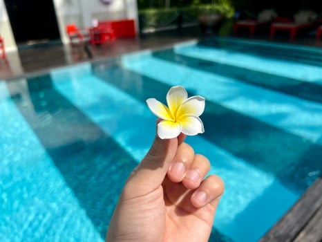 A person holding a flower near a swimming pool photo