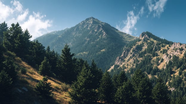 Soft light and textures in nature photography photo