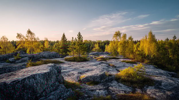 Realistic view of natural scenery with soft color palette photo