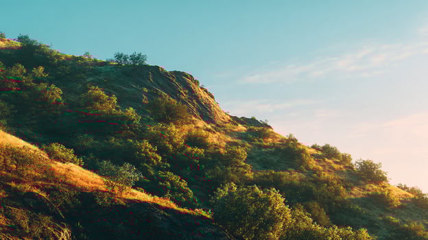 Calm and beautiful natural scenery in vivid detail photo