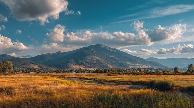 Summer field illuminated by bright natural light photo