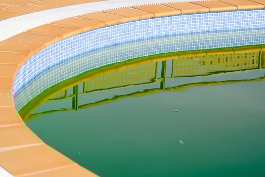 Reflection on the Surface of Stagnant, Dirty Pool Water. Abandoned Swimming Pool with Green Water. photo