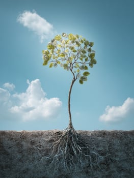 Neural Tree Growing New Leaves Symbolizes Recovery and Resilience in a Serene Environment photo