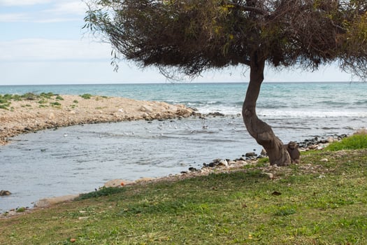 Exploring the coastal beauty of spain with scenic views of the sea and nature photo