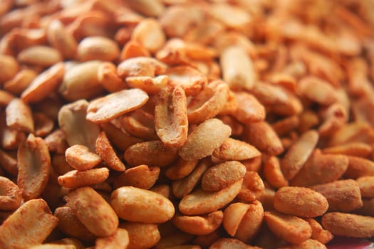 Roasted seeds displayed in a natural light setting photo