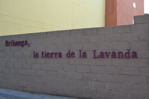 Lavender festival celebration in Brihuega, Spain with colorful street decorations. Brihuega, the land of lavender - in Spanish photo