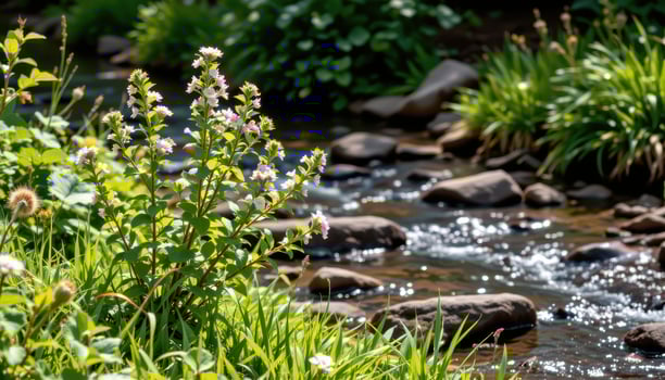 a wild shrub beside a babbling brook photo