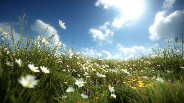High resolution vivid textures in photo of summer landscape scenery