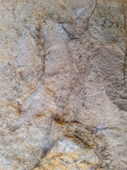 Rough stone texture with natural grey, white, and rusty brown patterns, ideal for backgrounds, design materials photo