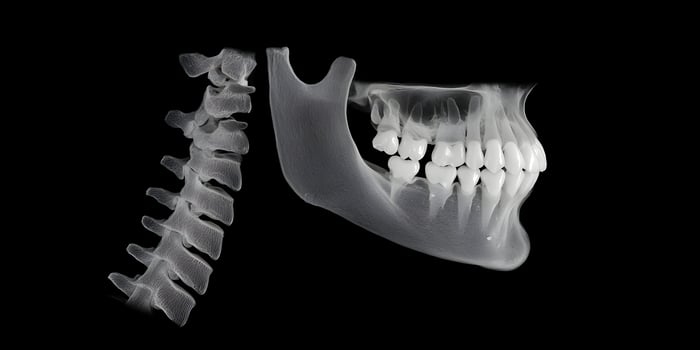 3D Render of Human Jawbone and Cervical Spine XRay Style Image photo