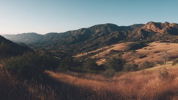 Photorealistic image of natural scenery textures and tones photo