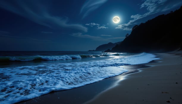 a moonlit beach with gentle wavess photo