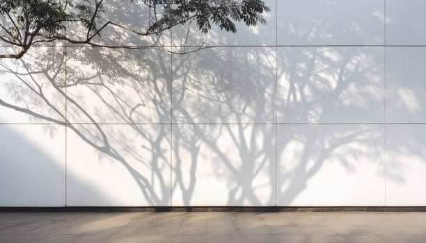 Dancing tree shadows on a large white modern wall urban environment minimalist style photo