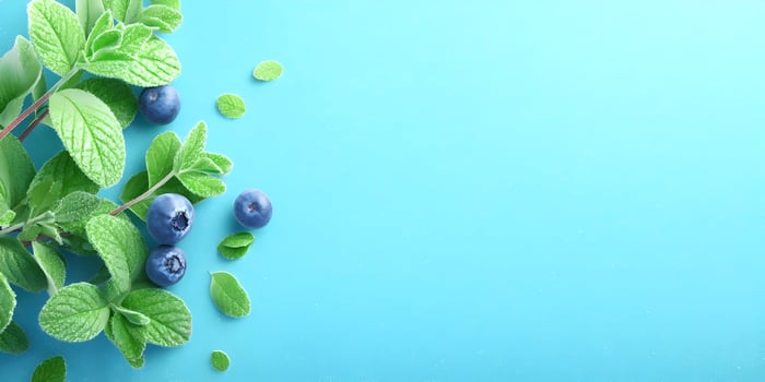 Fresh Blueberries and Mint Sprigs on Light Blue Background photo