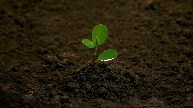 Planting trees, loving the environment and protecting nature Nourishing the plants World En71 vironment Day To help the world look beautiful photo