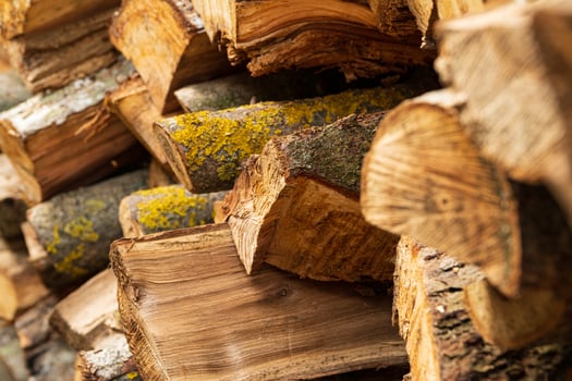 Firewood closeup. Stacking firewood. Preparation of firewood for the winter photo