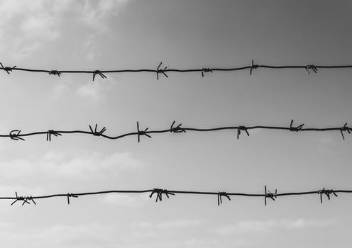 Barbed wire. Concept of imprisonment, slavery, human rights, freedom photo
