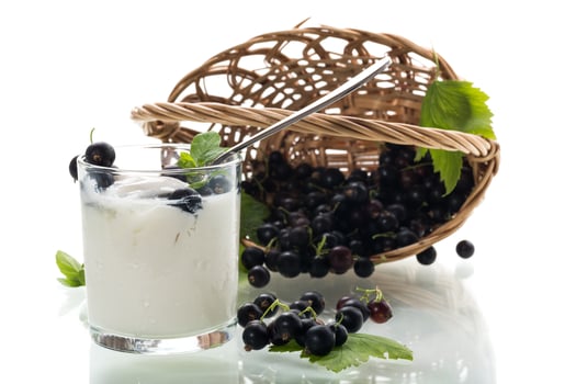 Homemade yogurt with blackcurrant on white background photo