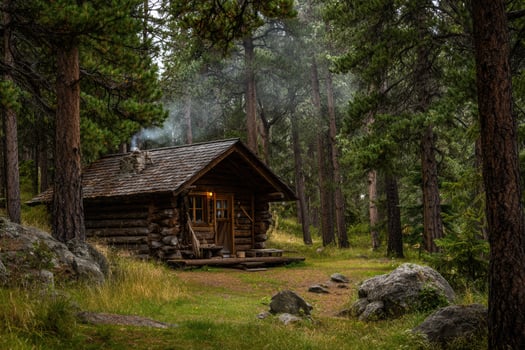 Log cabin surrounded by pine trees with smoke in the air photo