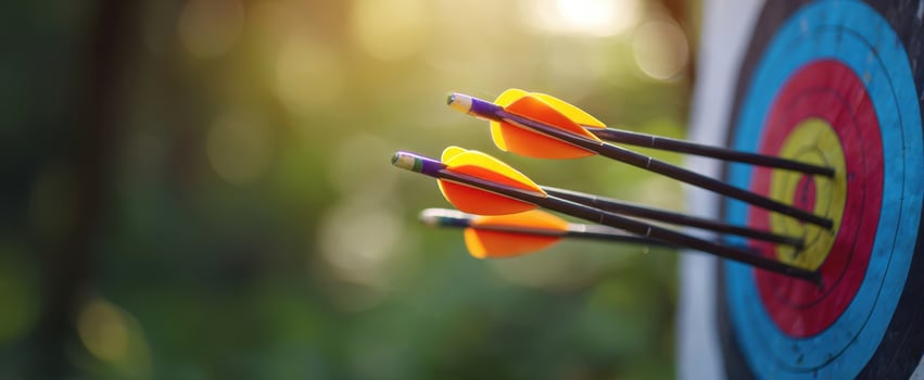 The arrows striking the target in a vibrant outdoor archery setting photo