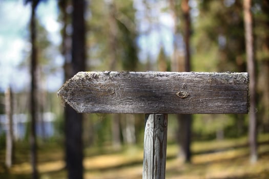 Weathered wooden signpost pointing through a quiet forest path with blurred background photo