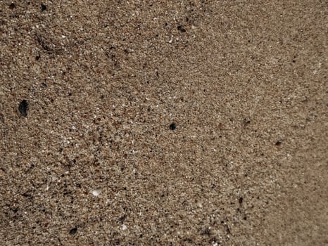 Close-Up of Sandy Texture Closeup of sandy wall texture featuring natural granular patterns and earthy color tones ideal for eco branding organic packaging nature-inspired design and abstract earthy v photo