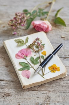 Fountain pen resting on aging journal with pressed flowers evoking memories photo