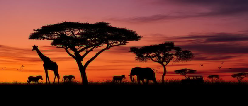 The silhouettes of wild animals against a vibrant African sunset landscape. photo