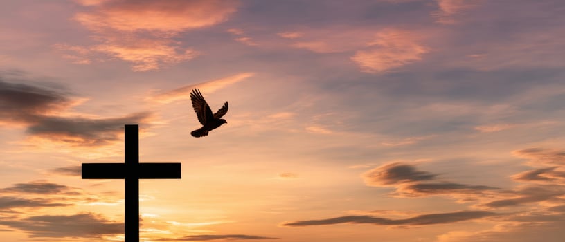 The cross at sunset with a soaring bird capturing a moment of serenity. photo