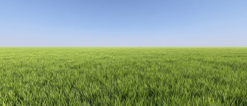 The vast expanse of lush green grass under a clear blue sky. photo