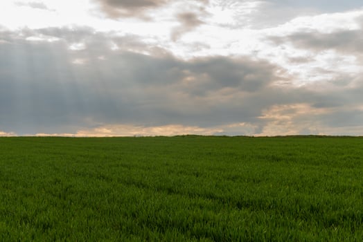 Lush Green Field Under Dramatic Sky with Sunlight Streaming Through Clouds photo