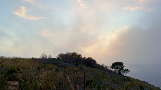 A tranquil landscape view with soft clouds and golden grass at sunset, perfect for nature-themed media. photo