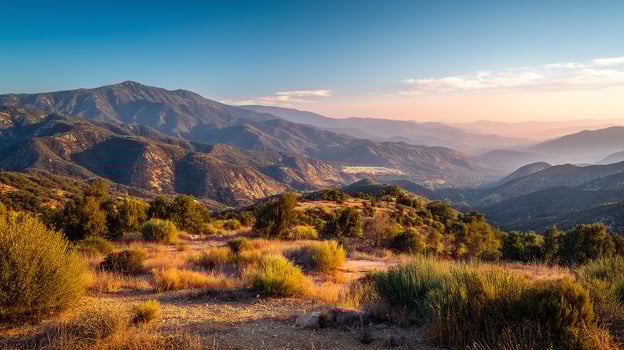 Photographic image of richly textured natural scene beauty photo