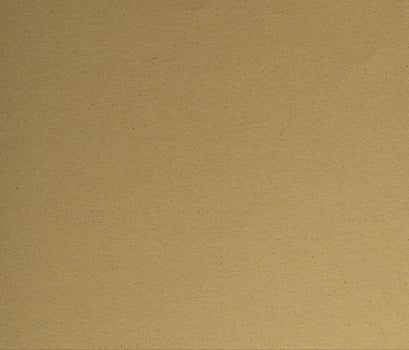 Premium olive green designer paper with a smooth matte texture, offering an elegant and minimalistic photo