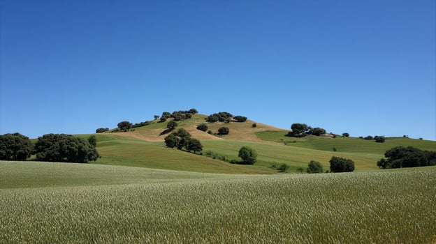 Bright summer background day with landscape textures photo