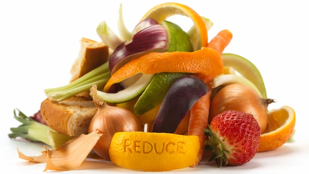 A Pile of Food Waste, Illustrative of Food Waste Problem photo