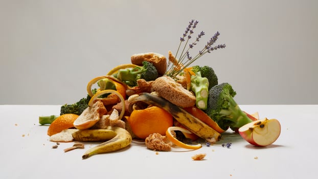 Close-Up of Mixed Compostable Food Waste on White Background with Emphasis on Natural Texture Variety photo