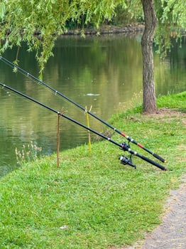 Fishing Rods on Grassy Riverbank Beneath Tree Shade photo