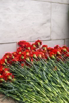 Red carnation flowers on a white marble background with copy space. photo