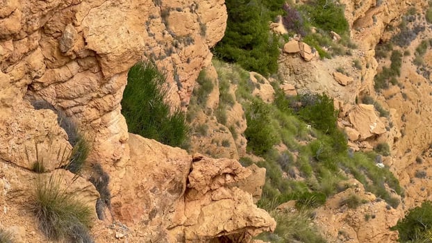 An absolutely breathtaking view of rocky cliffs juxtaposed with vibrant vegetation in a stunning natural landscape photo