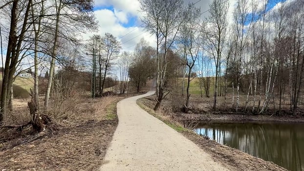 A serene, tranquil path gently winds alongside a peaceful river, enveloped by bare trees beneath a bright, clear sky photo