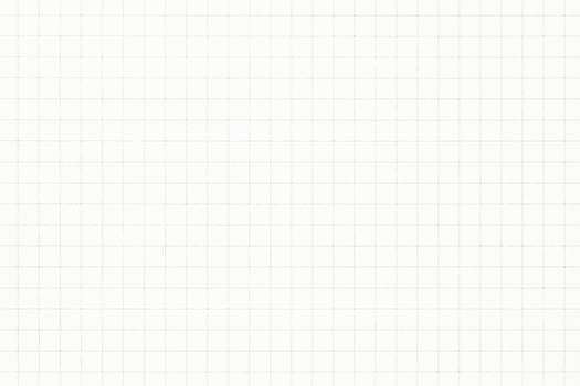 white paper cage school notebook with square grid photo