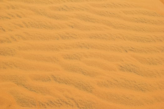 Golden Desert Sand Dunes Landscape with Ripples and Texture. Abstract Nature Background. photo
