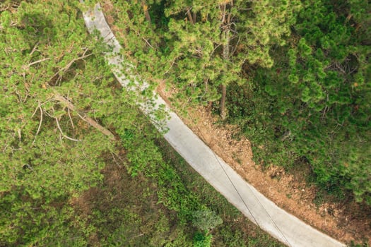 Winding Road Through Lush Green Forest. A Scenic Aerial View for Travelers. Dalat, Vietnam. photo