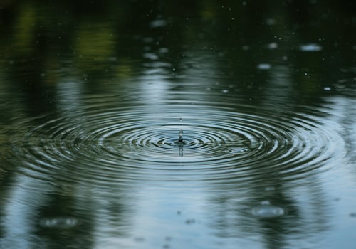 A raindrop creates perfect ripples on the water's surface. photo