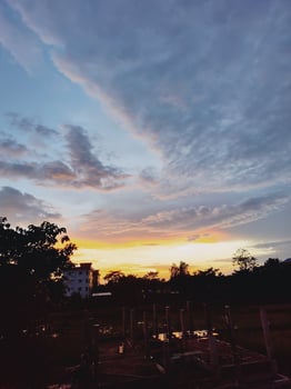 Sunset over semi urban landscape with vibrant orange yellow sky blue gray clouds silhouetted trees and a white multi story building. Natural and urban blend perfect for serene and dynamic scenes. photo