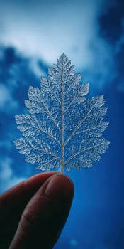 Holding delicate skeleton leaf against a blue sky photo