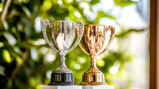Two trophies on a display photo