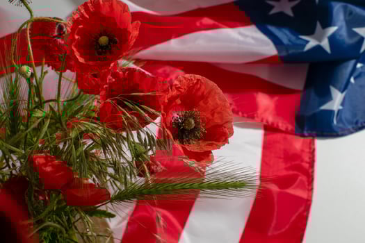 Red poppies dance before a billowing American flag, evoking Memorial Day reverence and Armistice introspection, a tapestry of remembrance photo